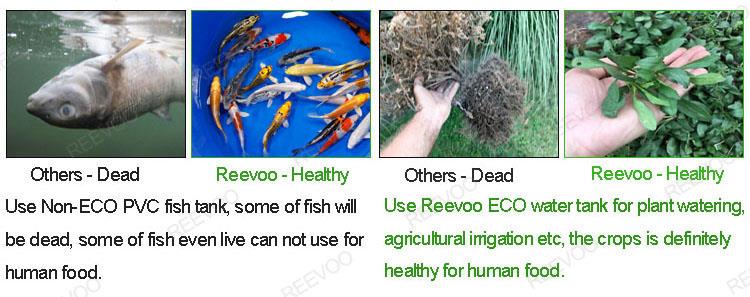 eco.jpg eco.jpg