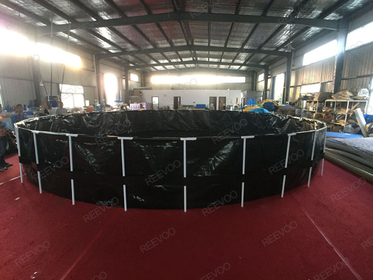 fish tank pond.jpg