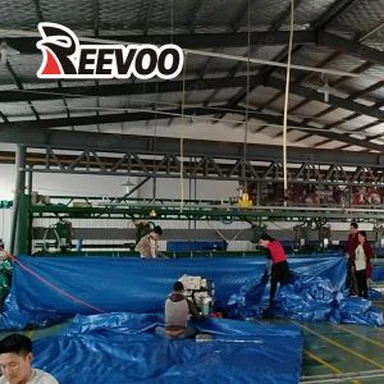 Poly Tarp Sheet